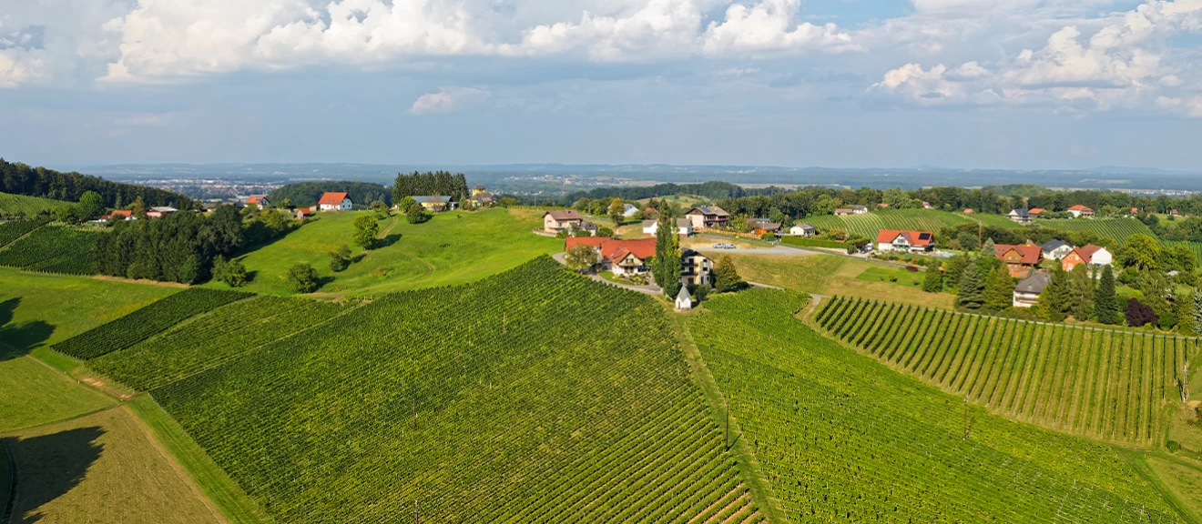 Ried Grubthal, the monopole vineyard of Reinhard Muster