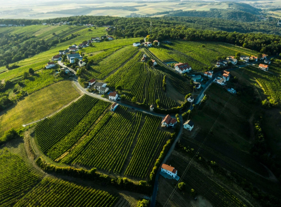 Eisenberg winegrowing region, Austria