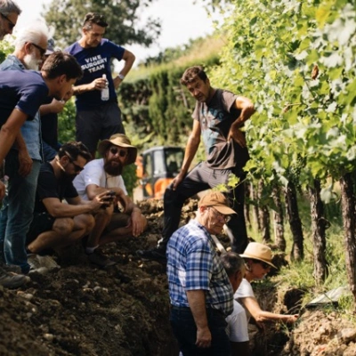 Simonit workshop soft pruning in vineyards