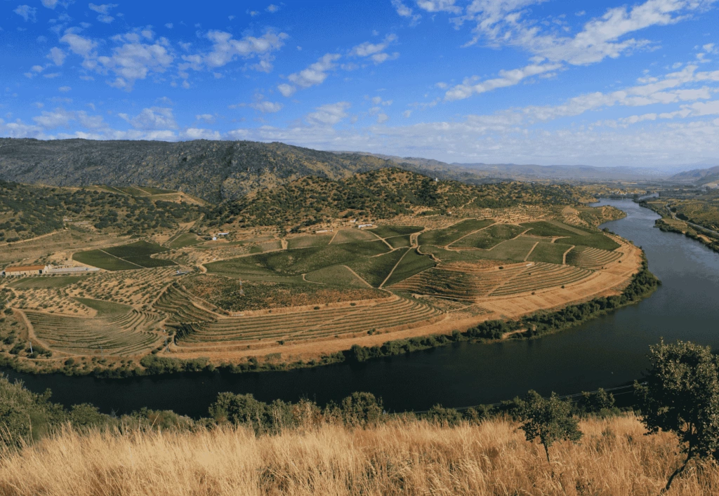 Douro-Tal